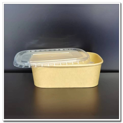 Rectangular Lunch Box Takeaway Bento Fast Food Box Environmental Protection Salad Packing Box Bowl