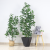 Style Indoor Home Decoration Peperomia Tetraphylla Green Leaf Plant Pot Simulation Plastic Fake Trees Plant Bonsai