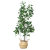 Style Indoor Home Decoration Peperomia Tetraphylla Green Leaf Plant Pot Simulation Plastic Fake Trees Plant Bonsai