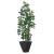 Style Indoor Home Decoration Peperomia Tetraphylla Green Leaf Plant Pot Simulation Plastic Fake Trees Plant Bonsai