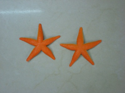 Cheap Supply Plastic Toys Simulation Starfish Plastic Starfish Starfish Zoo
