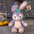 Cartoon StellaLou Doll Shi Dai La Rabbit Plush Toy Star Dai Lu Doll Rabbit Ragdoll Ornament Gift