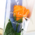 Single Stem Simulation Soap Flower Valentine's Day Gift Rose Mother's Day Cross-Border Wholesale Wedding Favors