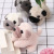 INS Cute Cartoon Pet Shar Pei Plush Toy Puppy Pendant Backpack Ornament Men Plush Doll Wholesale