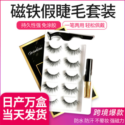 New Product Liquid Eyeliner Five Magnets Eyelash Set with Tweezers Five Pairs Set Qingdao Source Factory