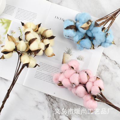 Colorful Dried Flower Cotton Net Red Cotton Flower Head Exhibition Window Soft Decoration Material Wedding Wall Artistic DIY Preserved Fresh Flower