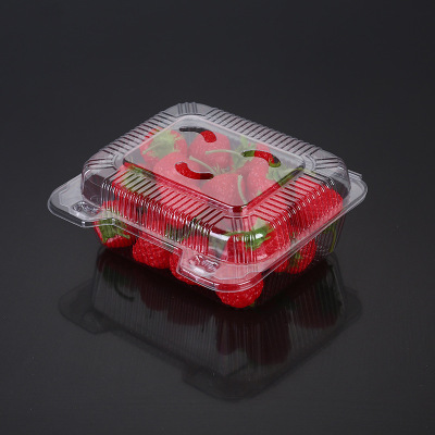 One-Catty-Package Strawberry Box Disposable Fruit Plastic Transparent Packaging Box Fresh-Keeping 500G Fruit Cutting Box with Lid