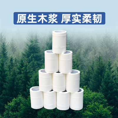 40G Hollow Roll Paper Factory Wholesale Household Toilet Paper Toilet Paper Hotel Toilet Web Wholesale Customization