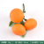 Simulation Granulated Sugar Sugar Orange Plastic Tangerine Decoration Fake Orange Golden Orange Model Artificial Fruits and Vegetables