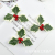 Simulation Christmas Leaf Chinese Hawthorn Christmas Garland Accessories Various Decoration Chinese Hawthorn Accessories DIY Handmade Accessories