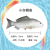 Wholesale Simulation Paradise Fish of China Crucian Carp JINLONGYU Fish Toy Freshwater Grouper Seafood Restaurant Restaurant Decoration Props Toys