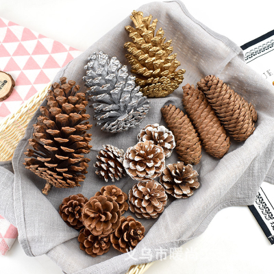 Golden Pine Nuts Yellow Pine Nuts Colored Pine Cones Dyed Pine Cones Spruce Cones Bunge Pine Cone Pine Cones Wholesale