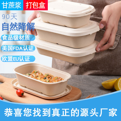 Light Food Box Salad Packing Box Pulp Disposable Lunch Box Degradable Takeaway Compartment Lunch Box