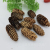 Factory Direct Sales Simulation Natural Yeddo Spruce Fruit ACORN Bunge Pine Cone Christmas Holiday Decoration Accessories Photography DIY Props