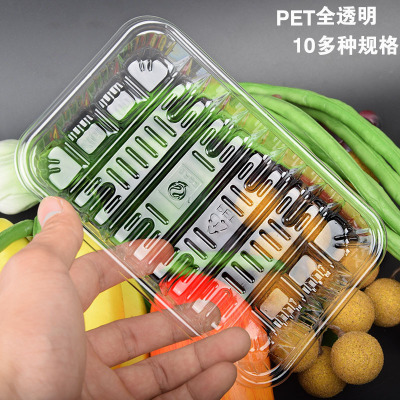 Fresh Food Tray Pet Fully Transparent Disposable Square Plastic Crisper Fresh Fruit and Vegetable Packaging to-Go Box