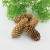 Factory Direct Sales Simulation Natural Yeddo Spruce Fruit ACORN Bunge Pine Cone Christmas Holiday Decoration Accessories Photography DIY Props