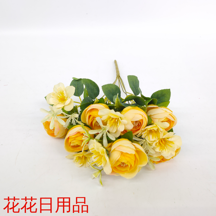 Product Image Gallery