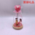 Factory Direct Sale Valentine's Day Love Couple Glass Cover Star Light Gift