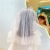Princess Veil Birthday Hat Crown Girl Ins White Wedding Dress Baby Party Dress up Headband Photo Props