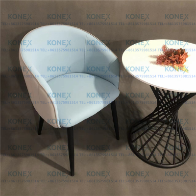 Modern Home Dining Chair Internet Celebrity Living Room Leather Leisure Chair Coffee Chair Rest Area Reception Chair