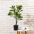 Amazon Indoor Coffee Table Table Decorative Ornament Small Pot Plant Simulation Lemon Douban Bonsai Plastic Fake Trees