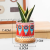 Cylindrical Succulent Ceramic Flowerpot