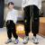 Boys' Sports Pants 2022 Autumn and Winter New Pants Western Style Medium and Big Children Winter Single-Layer Fleece-Lined Children's Sweatpants Wholesale