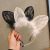 Europe and America Cross Border Sexy Lingerie Cat Ears Lace Feather Headband Headband Amazon Role Play Foreign Trade Headwear