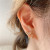 Foreign Trade Fishtail Earrings Elegant Elegant Sterling Silver Needle Earrings New Trendy Niche Design Net Red Earrings