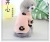 Pet Clothes Little Daisy Two Legs Fluffy Jacket Cute Dog Clothing Pet Autumn and Winter Warm Clothes Pet Supplies