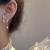 Butterfly Earrings Women's New Simple Special-Interest Design Ear Studs Ear Clip Silver Needle Frosty Style Earrings