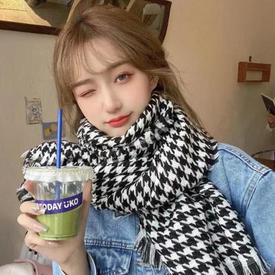 2022 New Classic Houndstooth Scarf Female Autumn and Winter All-Matching Girlish Student Couple Scarf Tide Factory Direct Sales