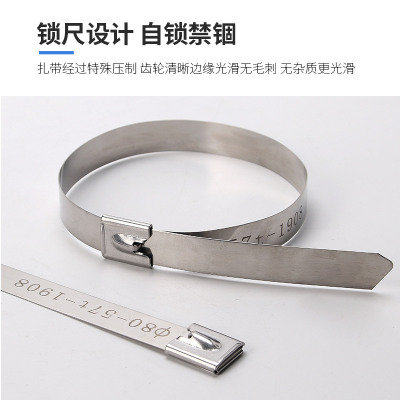 Self-Locking White Steel Stainless Steel Ribbon 4.6*300 Marine Metal Cable Tie Bridge Binding Cable Tie