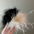 Autumn and Winter Super Fairy Ostrich Hair Barrettes High Sense Ins Special-Interest Design Back Head Updo Grip Hair Accessories