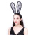 Party Ball Sexy Bunny Cat Ears Rabbit Ears Lace Tulle Hairband Photography Props