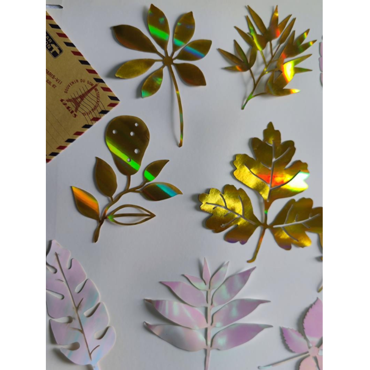 Product Image Gallery
