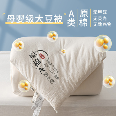 Class A Raw Cotton Soybean Fiber Quilt Four Seasons Duvet Insert Extra Thick Winter Quilt Cotton Quilt Quilt for Spring and Autumn Gift Quilt Wholesale