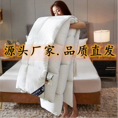 Factory Direct Sales Duvet Wholesale Hotel Autumn and Winter Single Double Thermal Feather Fabric Comforter Meeting Sale Gift Quilt
