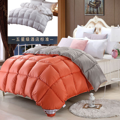 Factory Direct Sales Hot Sale Cotton down Quilt Spring and Autumn Winter Duvet Warm Thickened Duvet Insert Gift Goose down Quilt One Piece Dropshipping