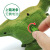 Spring Dinosaur Toy Boys and Girls Winding and Jumping Toy Strip 0-3 Years Old Children's Supermarket Toy Wholesale