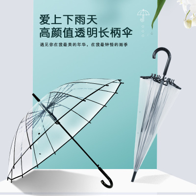16 Bone Transparent Umbrella Wind-Resistant Automatic Pure Colored Fresh Internet Celebrity Advertising Umbrella Logo Gift Transparent Straight Pole Umbrella