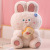 Saite Dudu Cute Lier Rabbit Sleeping Doll Doll Bed Pillow Birthday Gift in Stock Wholesale