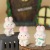 Creative Cartoon Cute Bunny Decoration Desktop Office Decoration Website Red Car Resin Jewelry Hand Gift