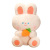 Saite Dudu Cute Lier Rabbit Sleeping Doll Doll Bed Pillow Birthday Gift in Stock Wholesale