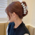 Solid Color N-Shaped Plastic Grip Women's Summer Large Shark Clip Back Clip Outdoor All-Matching High-Grade Hairpin