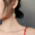 S925 Asymmetric Geometric Earrings for Women All-Matching Long Tassel Types A and B Earrings Graceful Online Influencer Trendy Ear Rings