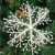 Christmas Decorations Christmas Tree Ornaments 11cm Brushed Plastic Snowflake Christmas Window Set Snowflake