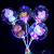 Bounce Ball Luminous Net Red Balloon Holiday Scenic Spot Stall Promotional Gifts Transparent Balloon Light Bounce Ball Manufacturer