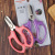 Garden Scissors Flower Twig Clipper Flower Twig Clipper Knife Flower Repair Pruning Shears Gardening Scissor