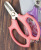 Garden Scissors Flower Twig Clipper Flower Twig Clipper Knife Flower Repair Pruning Shears Gardening Scissor